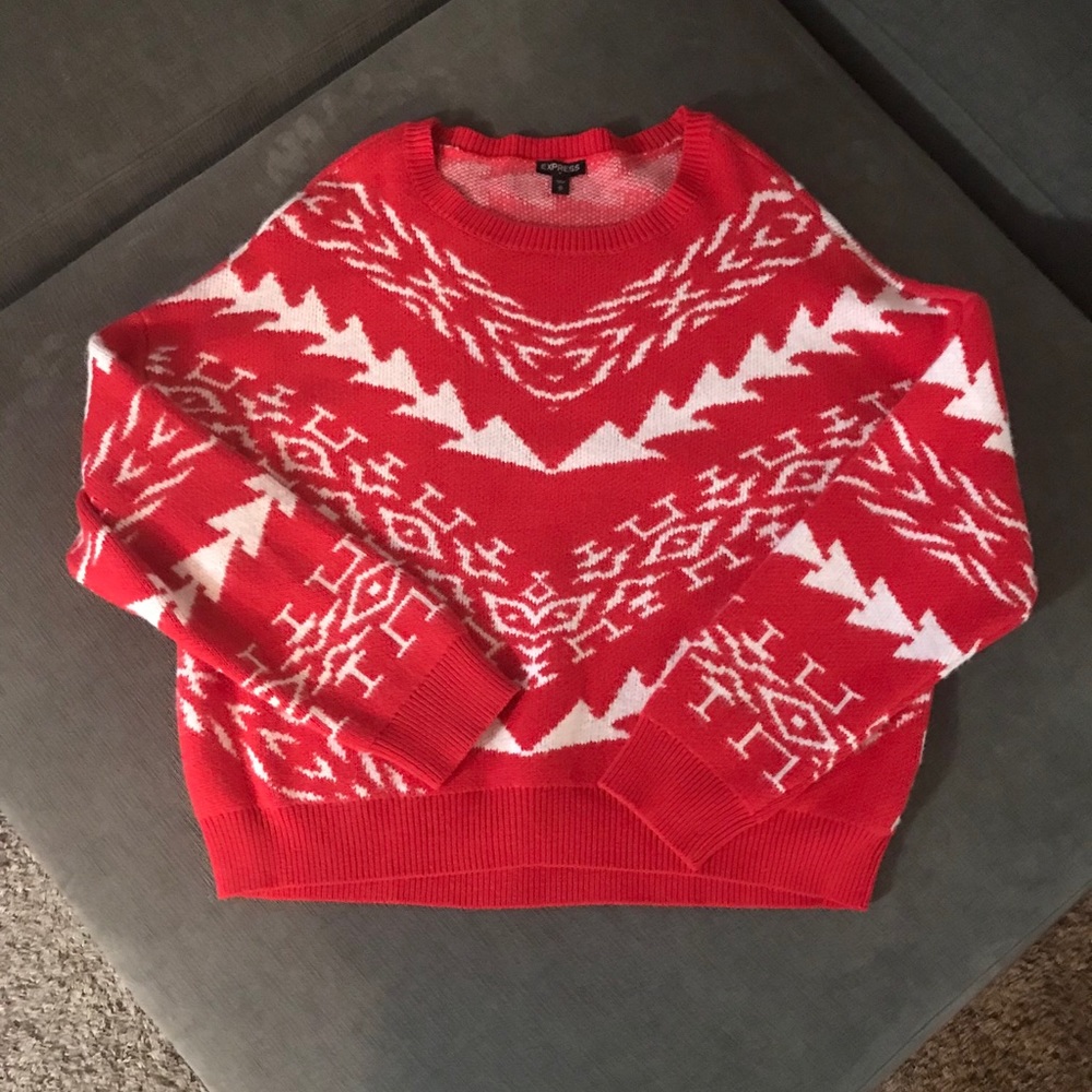 Express sweater